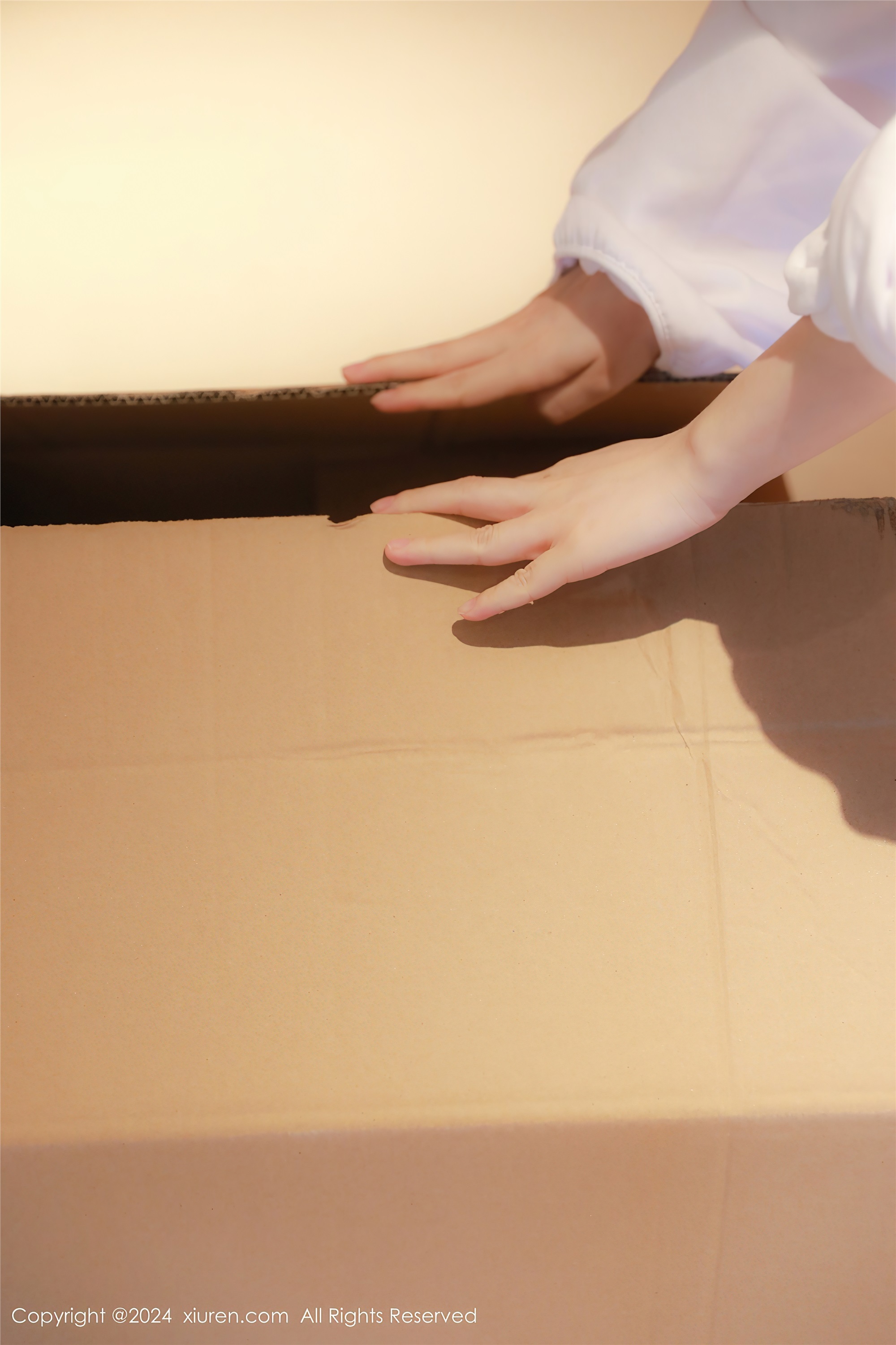 Xiuren秀人网 2024.01.31 NO.8044 小薯条nienie